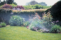 Residential Irrigation